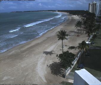 Image from a video atop a building looking down at a tropical beach with palm trees and gently breaking waves.
