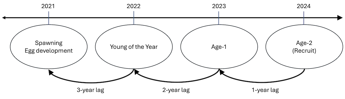 Diagram of fish reproduction cycle